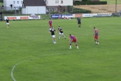 185_IMG_7491