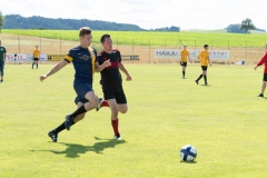 170701162411-f134-Rock am Indy Kleinfeldturnier 2017-id2